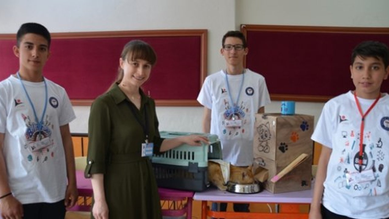 Sokak hayvanları için mama makinesi yaptılar