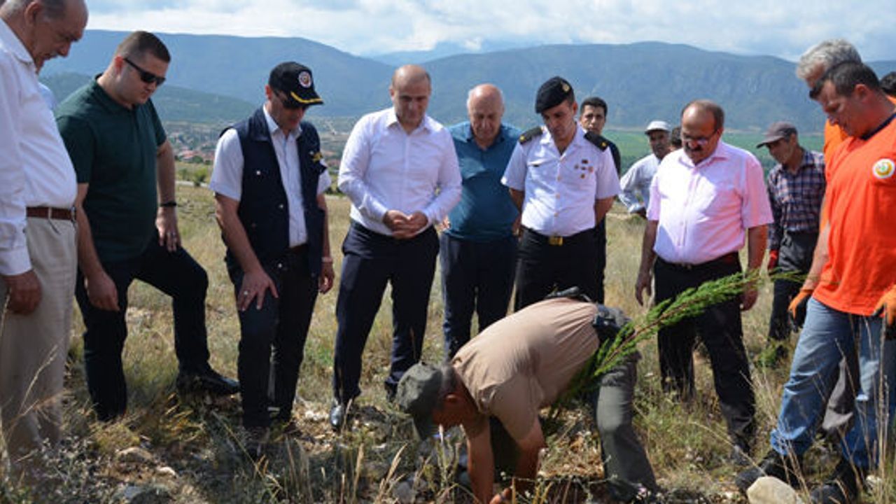 15 Temmuz Şehitleri Hatıra Ormanı’na 250 fidan