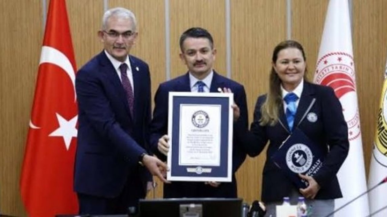 1 saatte 303 bin 150 fidan dikildi