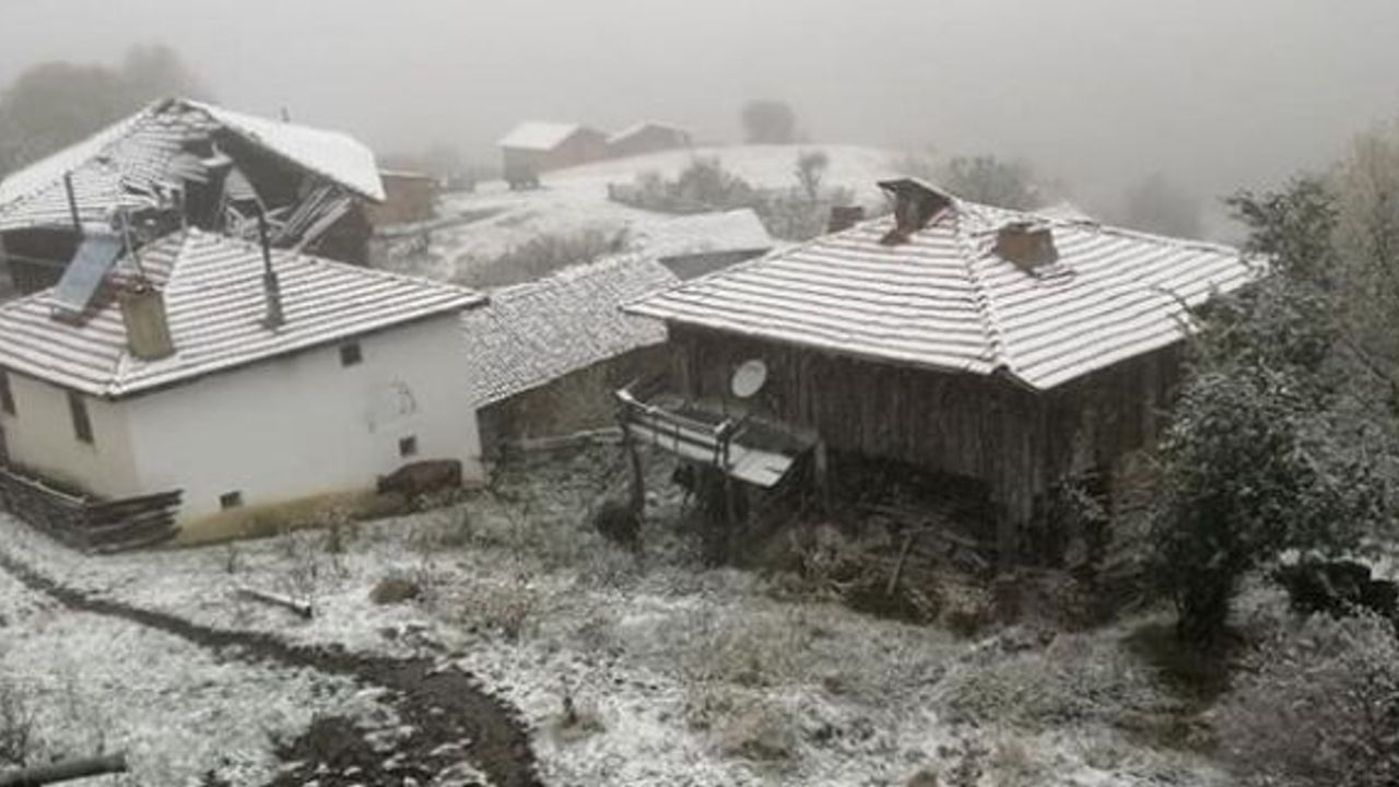 Yılın ilk karı Kargı'ya düştü