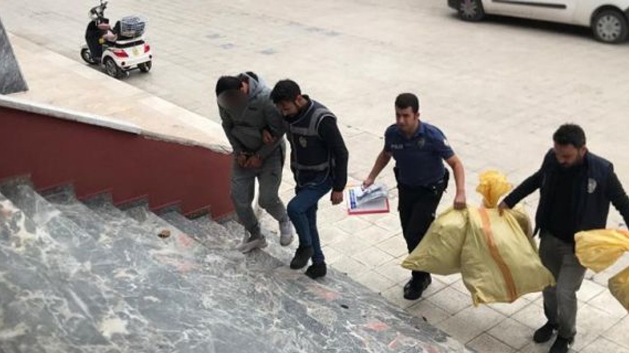 Uyuşturucu operasyonu! Evinde kenevir yetiştiren zanlı yakalandı