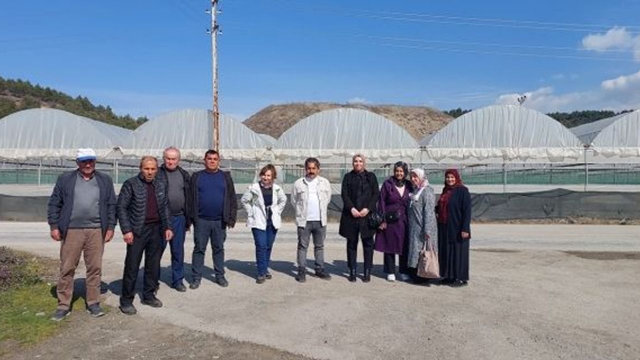 Serada üreten genç ellere seracılık kursu verildi
