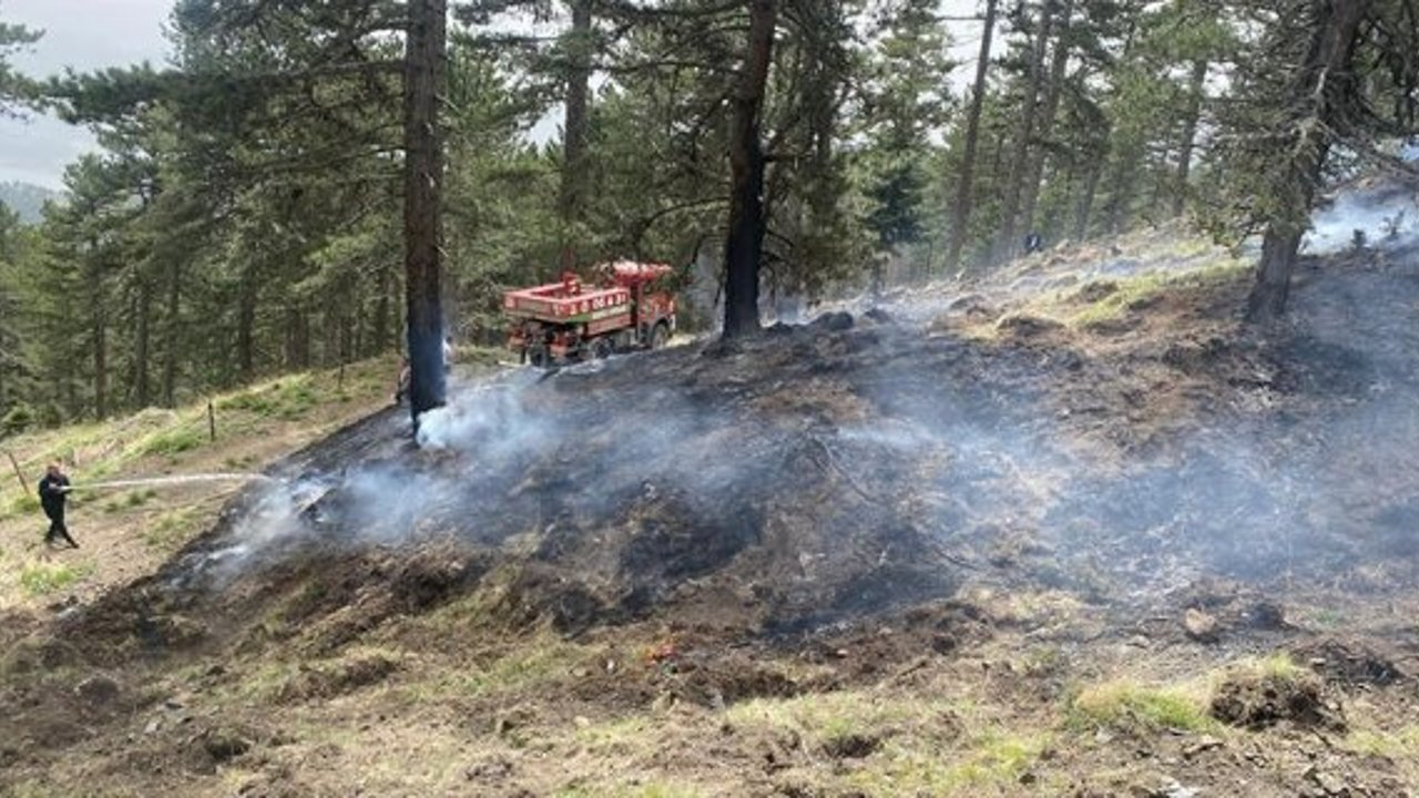 Kargı’daki orman yangını korkuttu
