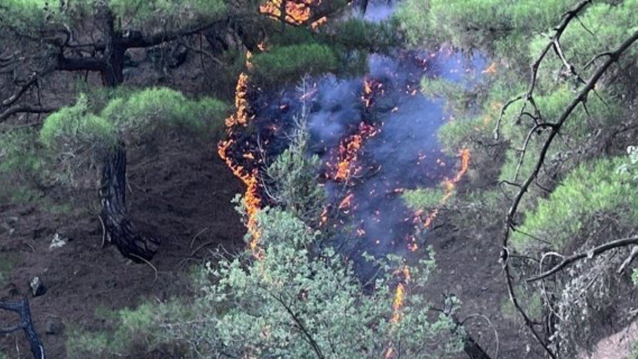 Kargı’daki orman yangını korkuttu