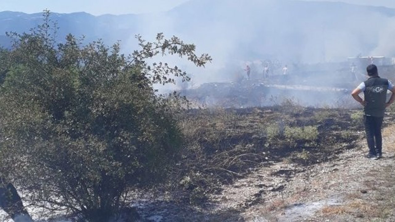 Kargı-Boyabat Karayolunda Orman Yangını: Ekipler Facianın Eşiğinden Döndürdü