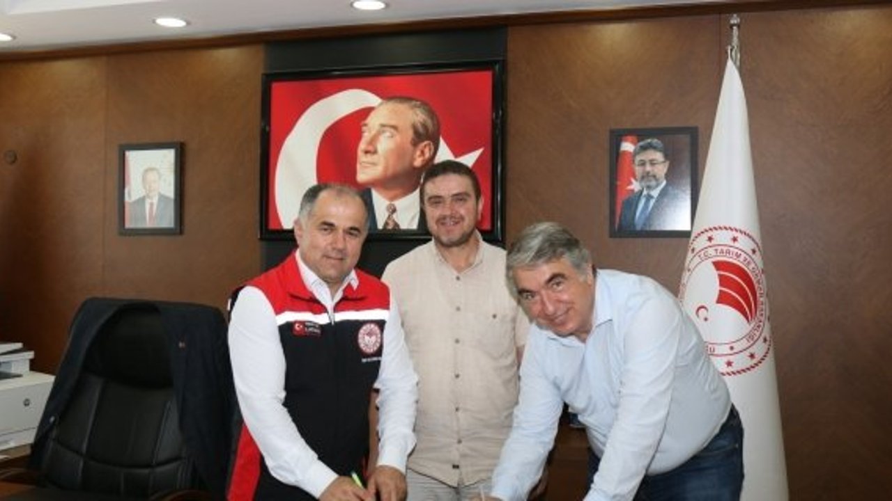 Kargı ve Osmancık'da üretim başlıyor: Boyabat Baraj Gölü’nde yıllık 1.500 tonluk dev proje