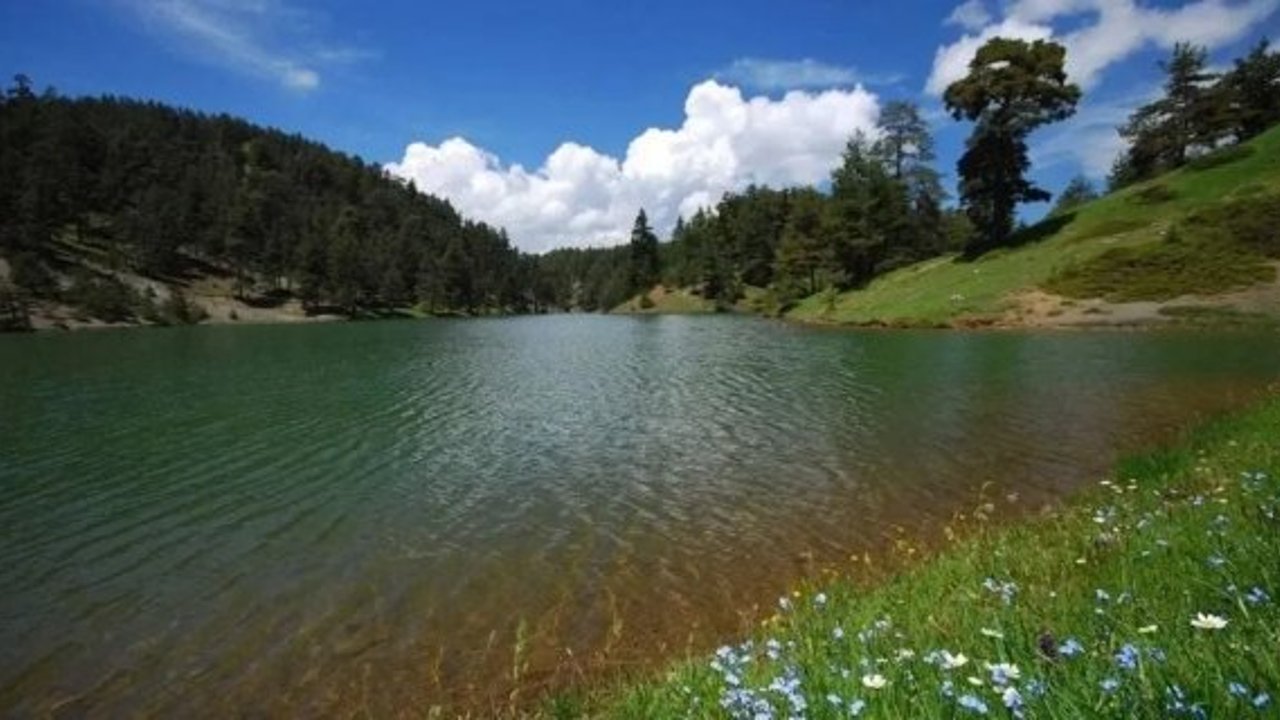 Kargı Yaylası’nda sislerin arasından çıkan manzara büyülüyor