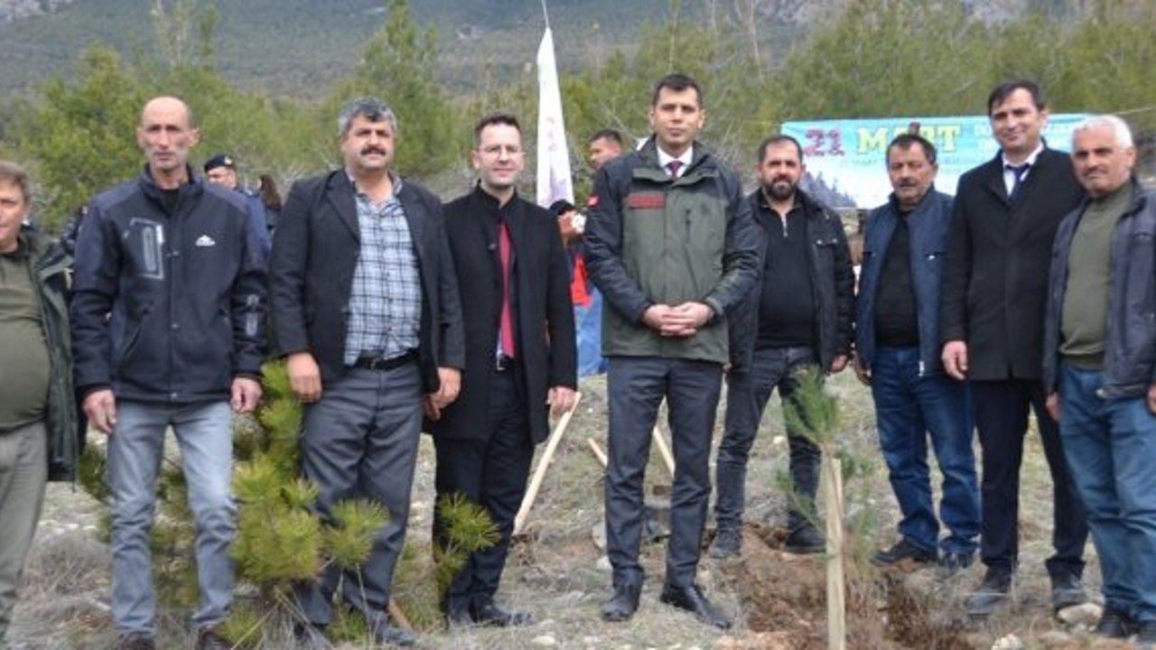 Kargı’da 250 çam fidanı toprakla buluştu