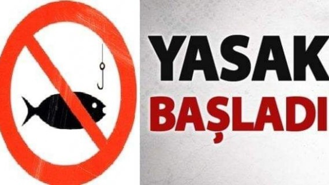 Kargı’da bazı balık türleri için av yasağı başladı