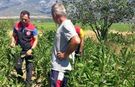 Kargı’da sebze üretim  alanlarına sıkı kontrol
