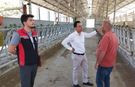 Kargı'da damızlık sığır ithalatı için inceleme yapıldı