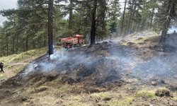 Kargı’daki orman yangını korkuttu