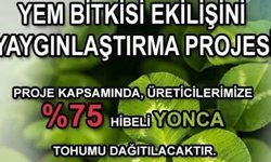 Sertifikalı yonca tohumu dağıtılacak