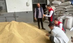 Kargı’da tarımsal üretim yerinde incelendi: Seralar ve Çeltik Fabrikasına ziyaret
