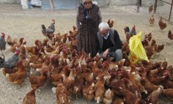 ORKÖY kredileri, orman köylüsüne can suyu oluyor