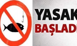 Kargı’da bazı balık türleri için av yasağı başladı