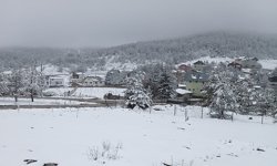 Kargı Yaylası beyaza büründü