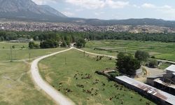 Kargı’da mera ıslahı için etüt çalışması yapıldı