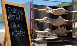 Kargı’nın tulum peyniri ve sırık kebabı Bodrum’da tanıtıldı