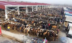 Çorum’da hayvan pazarları tedbir amacıyla kapatıldı