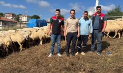 Kargı’da küçükbaş hayvan işletmesine teknik ziyaret
