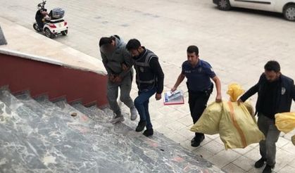 Uyuşturucu operasyonu! Evinde kenevir yetiştiren zanlı yakalandı