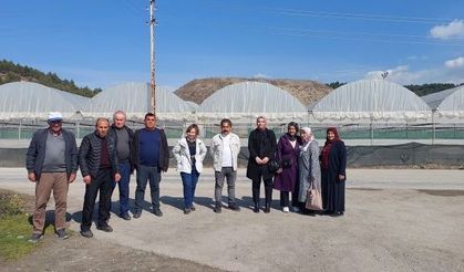 Serada üreten genç ellere seracılık kursu verildi