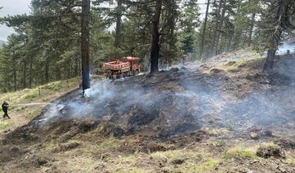 Kargı’daki orman yangını korkuttu