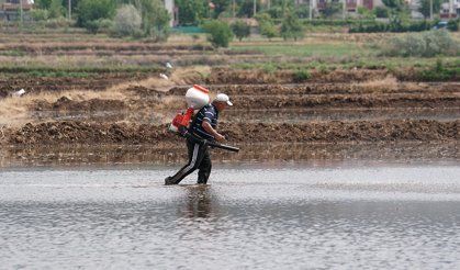Çeltik ekim ruhsatı için son tarih 15 Mayıs