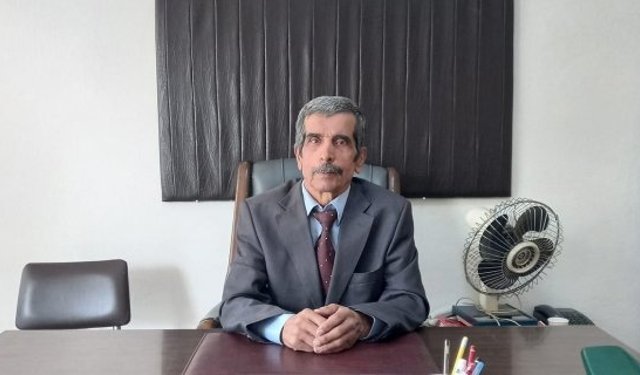 Kargı'da ekilemeyen tarlalar bakımsızlıktan domuzların barınağı haline geldi