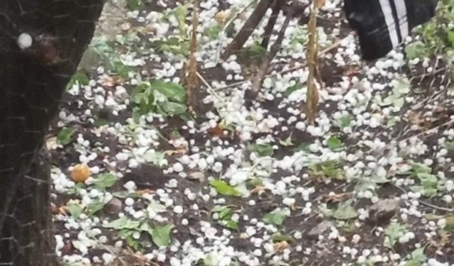 Hacıhamza’da dolu etkili oldu