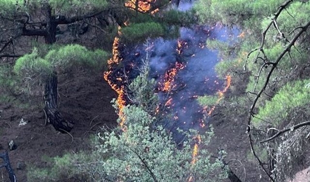 Kargı’daki orman yangını korkuttu