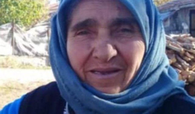 Şehri Sarı hayatını kaybetti