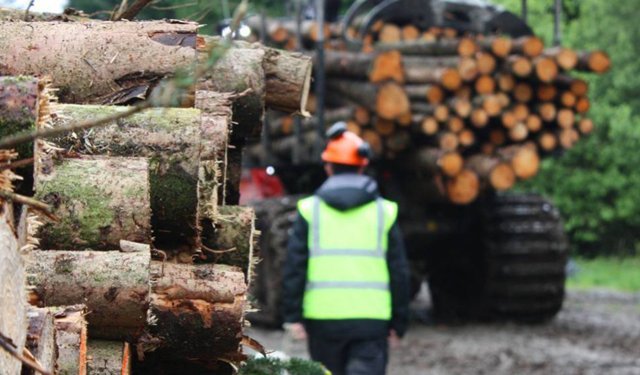 Kargı’da ormancılık hizmet alımı ihalesi