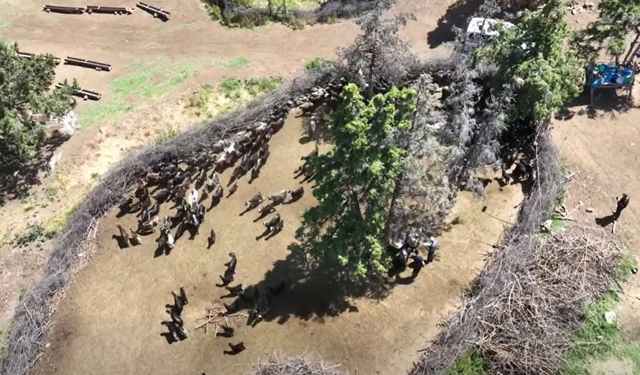 Kargı İlçe Tarım Müdürlüğü’nden üreticiye sahada destek