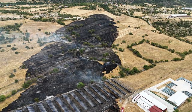 Uzunyurt Köyü'nde Tarla Yangını Korkuttu