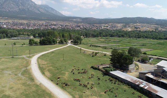 Kargı’da mera ıslahı için etüt çalışması yapıldı
