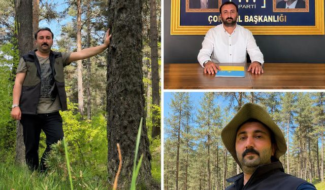 Yılmazer: “Ormanlar milli servetimiz; yanıp kül olmasın..!”
