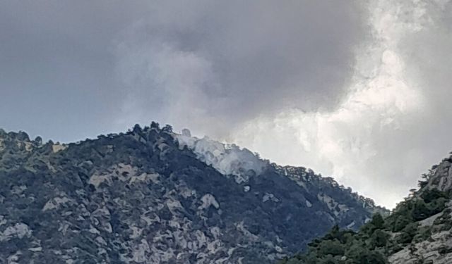 Kargı’da orman yangınına havadan ve karadan müdahale