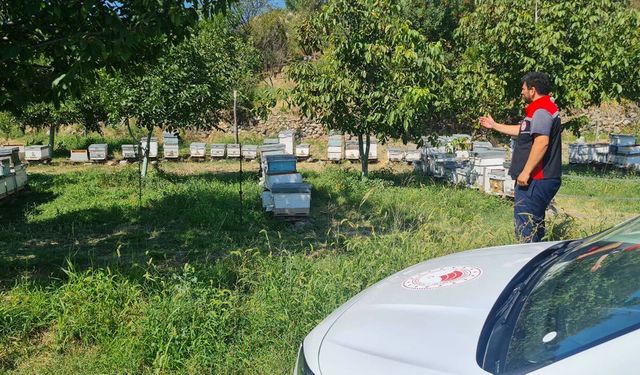 Kargı’da arıcılara destek için sahada kovan kontrolü