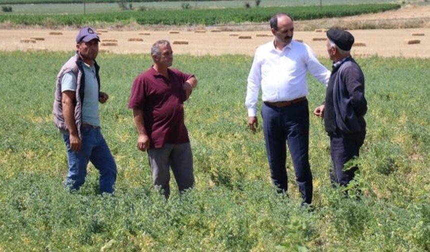 Kargı'nın da içinde bulunduğu dolu vuran 74 köyde hasar tespit çalışması başladı