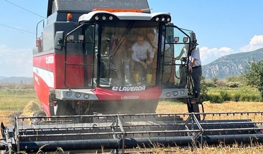 Kargı'da çeltik hasadı başladı