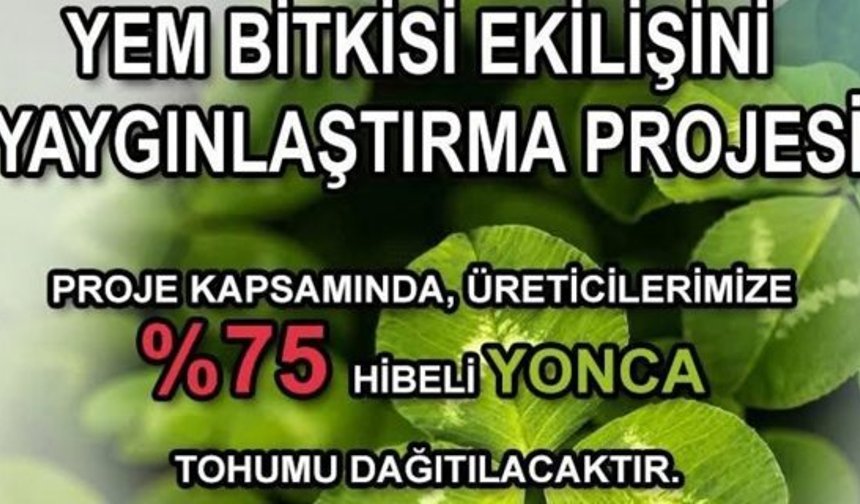 Sertifikalı yonca tohumu dağıtılacak