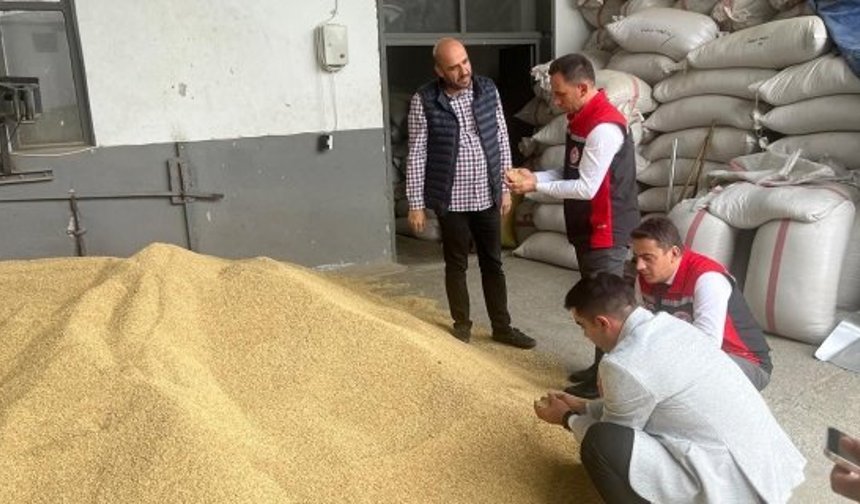 Kargı’da tarımsal üretim yerinde incelendi: Seralar ve Çeltik Fabrikasına ziyaret