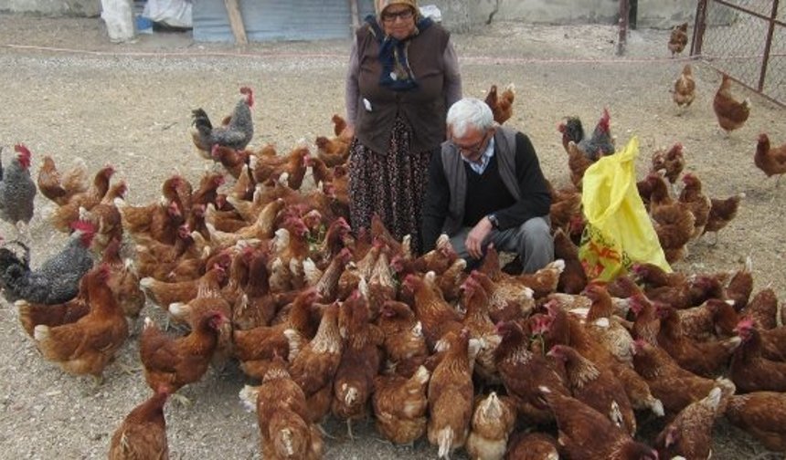 ORKÖY kredileri, orman köylüsüne can suyu oluyor