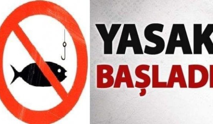 Kargı’da bazı balık türleri için av yasağı başladı