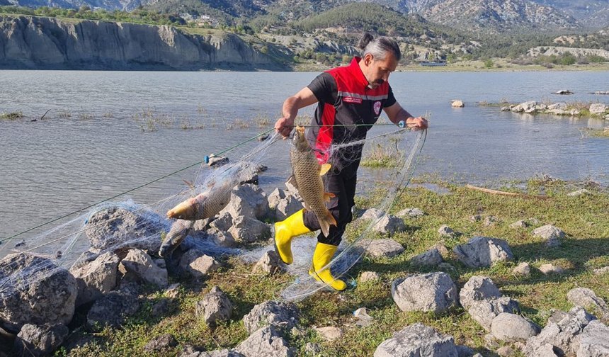 Kargı’daki denetimlerde 500 metrelik ağ ele geçirildi