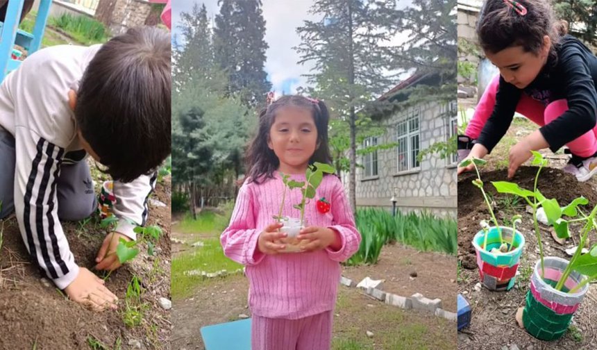 Minik öğrenciler fasulye dikimini öğrendi