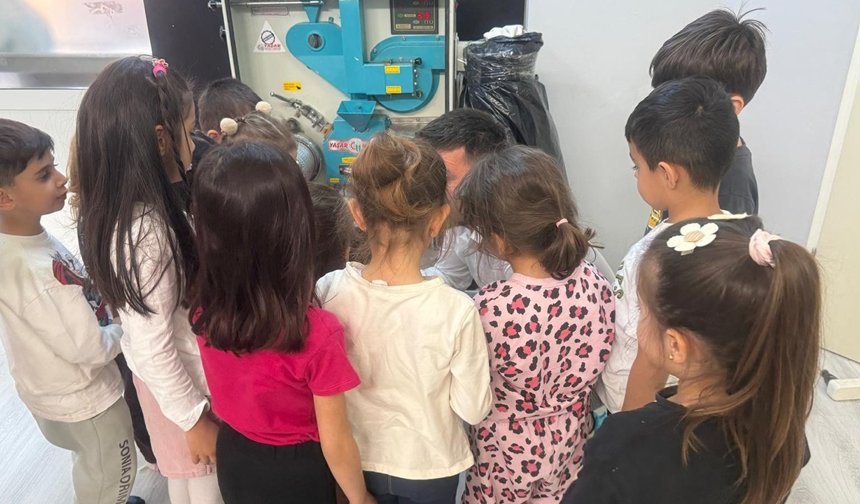 Kargı’da öğrenciler çeltiğin yolculuğunu öğrendi