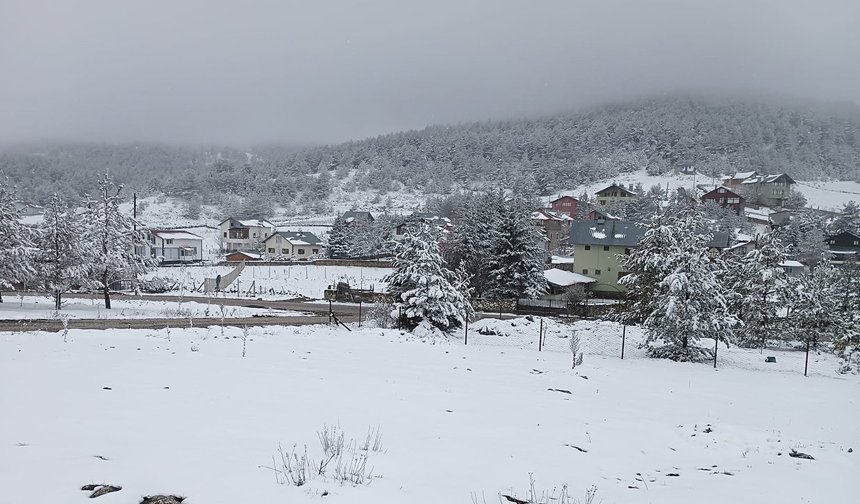 Kargı Yaylası beyaza büründü